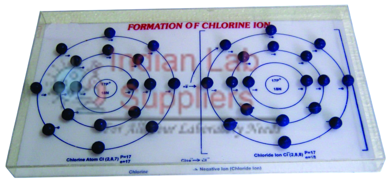 Formation of Chlorine Ion Model STEM Science Lab Demonstration Model